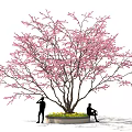 Ornamental Bonsai Plant with Pink Flowers Lush Branches and Yellow Blooms Around Circular Base