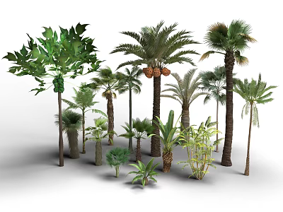 Various Arbor Trees With Lush Green Leaves And Palm Types For Landscape Design 3d model