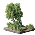 Lush Garden With Large Tree Surrounding Plants Wooden Bench And Flower Beds