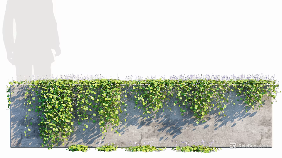 Ivy Vines Growing Naturally on Concrete Wall with Lush Green Leaves and Casting Soft Shadows 3d model 