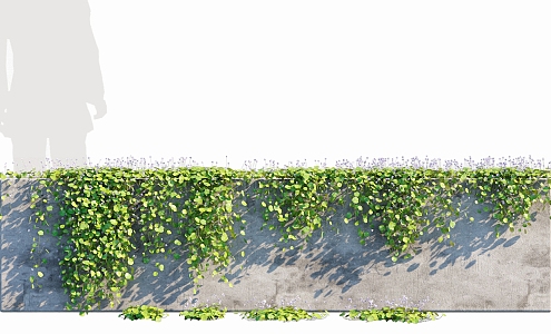 Modern Vine Green Planting Tuldown Vine Plant Wall Kidney Leaf Pansy 3d model