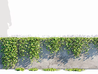 Modern Vine Green Planting Tuldown Vine Plant Wall Kidney Leaf Pansy 3d model