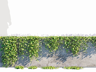 Modern Vine Green Planting Tuldown Vine Plant Wall Kidney Leaf Pansy 3d model