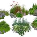 Diverse Garden Plants With Grasses Rocks And Flowering Herbs In Landscaping