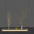 Modern Tree Landscape Tree 3d model
