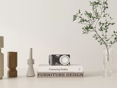 Decorative Ornament Set With Vintage Camera Books And Green Plant In Glass Vase 3d model