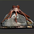 Red Octopus Model With Long Tentacles On Rock Base And Small Decorations