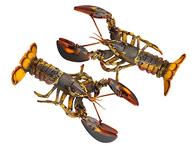 Two Realistic Reptile Figurines With Orange Black Patterns And Claw Shaped Limbs 3d model