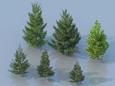Different Types of Evergreen Trees with Varying Sizes and Lush Foliage 3d model