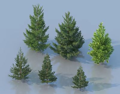 Different Types of Evergreen Trees with Varying Sizes and Lush Foliage 3d model