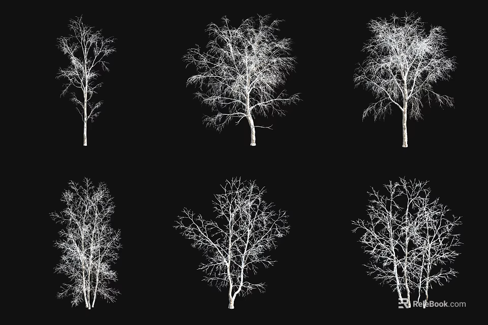Six Leafless Tree Silhouettes With White Outlines On Black Background 3d model 