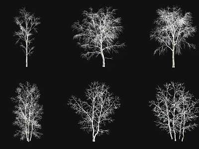 Six Leafless Tree Silhouettes With White Outlines On Black Background 3d model