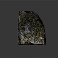 Unique Natural Rustic Stone Featuring Green Moss And Textured Organic Surface