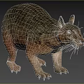 Brown Scaled Reptile With Claws And Erect Ears In Natural Environment