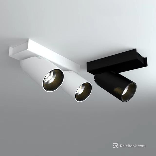 Modern Double Head White and Black Ceiling Mounted Downlights and Spotlights 3d model