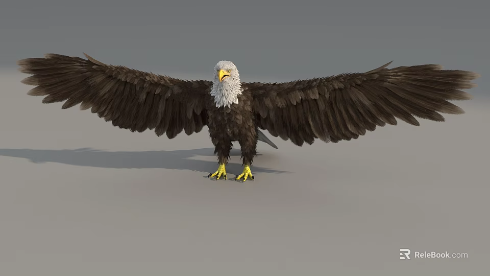 Majestic Flying Animal Eagle Standing With Spread Wings White Head Yellow Beak And Claws 3d model 