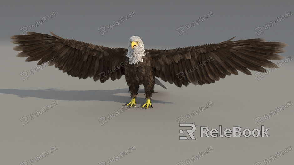 Eagle Eagle White Head Sea Eagle Eagle Eagle Eagle Eagle Super Realistic High Precision Video Grade Vulture Vulture Eagle Bird Large Bird Flying Bird model