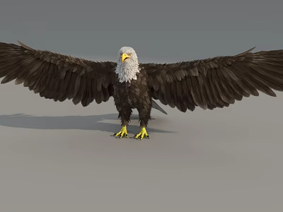 Majestic Flying Animal Eagle Standing With Spread Wings White Head Yellow Beak And Claws 3d model