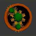 Tall Green Cactus With Thorns In Orange Pot On Gray Background