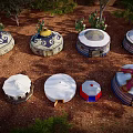 Various Styled Traditional Yurts Displayed Outdoors With Trees And Cactus