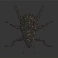 Shiny Black Beetle with Long Snout and Spotted Exoskeleton on Dark Smooth Surface