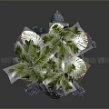 Decorative Living Accessory Palm Tree 3D Model With YASAN YAGHTING HALL And Gray Background