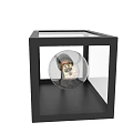 Modern Black Frame Wall Light With Vintage Filament Bulb And Glass Panels
