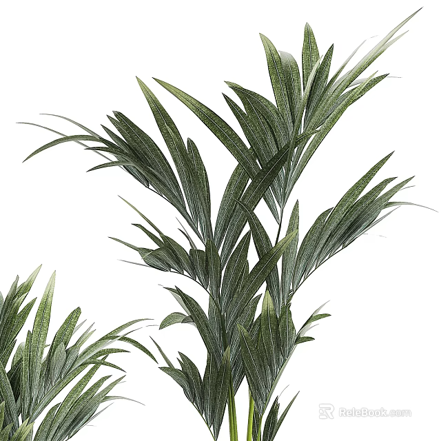 Lush Green Palm Leaves Tropical Plant Decorative Foliage For Home Decoration 3d model 