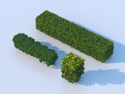 Trimmed Green Bushes in Different Shapes Long and Round Forms for Garden 3d model
