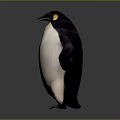 Standing Penguin With Black And White Body Red Beak 3D Rendered On Gray Background