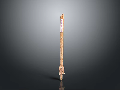 Ancient Lance Weapon With Wooden Shaft And Metal Spearhead Label 3d model