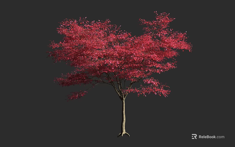Vibrant Red Leaf Arbor With Lush Canopy And Strong Straight Trunk 3d model 