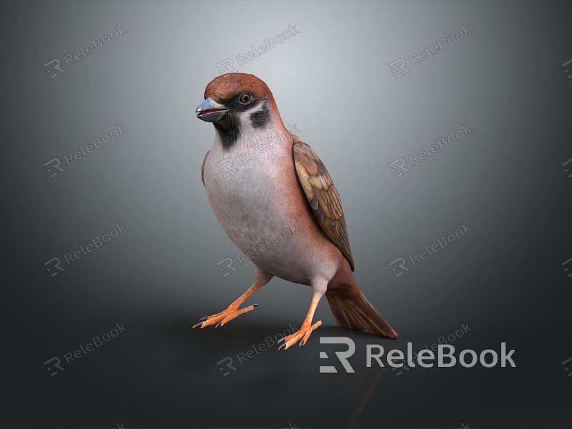 bird bird bird bird game animal cartoon animal animal realistic animal model