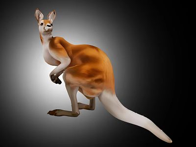 Realistic Kangaroo 3D Model With Detailed Fur And Standing Pose 3d model