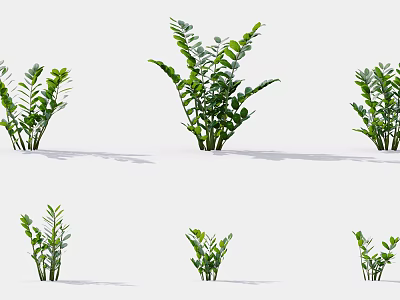 Green Plants With Various Sizes And Different Shapes For Indoor Decoration 3d model