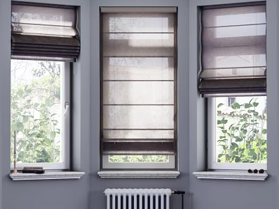 Neutral Toned Roman Curtains For Windows With Green Plants And Natural Light 3d model