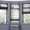 Neutral Toned Roman Curtains For Windows With Green Plants And Natural Light