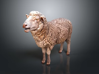 Realistic Sheep 3D Model With Detailed Fur Texture Standing on Dark Background 3d model