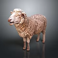 Realistic Sheep 3D Model With Detailed Fur Texture Standing on Dark Background