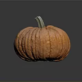Fresh Orange Pumpkin With Textured Skin And Stem On Dark Reflective Surface For Fall