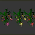 Decorative Plants With Green Leaves And Colorful Flowers Yellow Pink White Blooms On Curved Branches