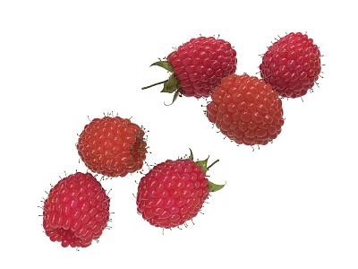 Fresh Red Raspberries with Vibrant Color and Green Leaves Arranged on White Background 3d model