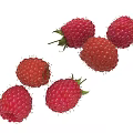Fresh Red Raspberries with Vibrant Color and Green Leaves Arranged on White Background