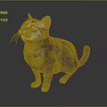 Realistic Gray Black Tabby Cat Sitting And Looking Up On Dark Background