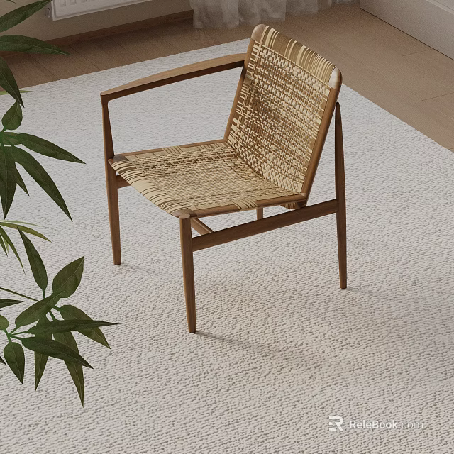 Modern Rattan Leisure Chair With Woven Seat Wooden Frame On Light Rug And Green Plant 3d model 