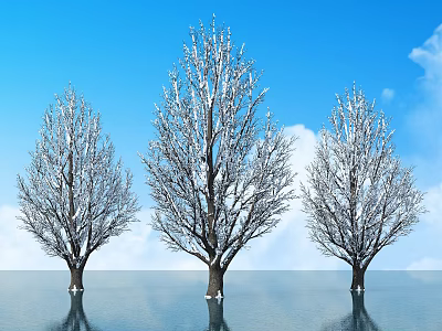 Three Snow Covered Trees Against Blue Sky With White Clouds And Water Reflections 3d model