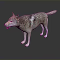 Realistic Wolf 3D Model Game Movie Character with Standing Pose Brown Gray Fur
