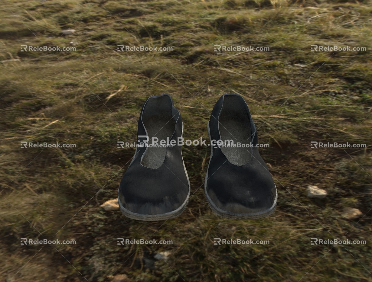 Chinese-style cloth shoes 3d model