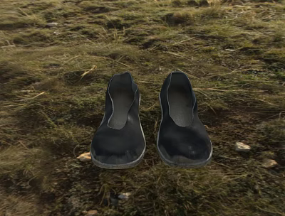 Black Cloth Shoes Placed on Grassland with Dry Grass and Soil Around 3d model