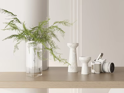 Decorative Ornament Set With Transparent Vase Green Fern White Ornaments Camera Lens On Wooden Shelf 3d model